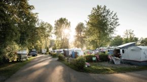 Stellplätze - Campingplatz Gohren | © Campingplatz Gohren